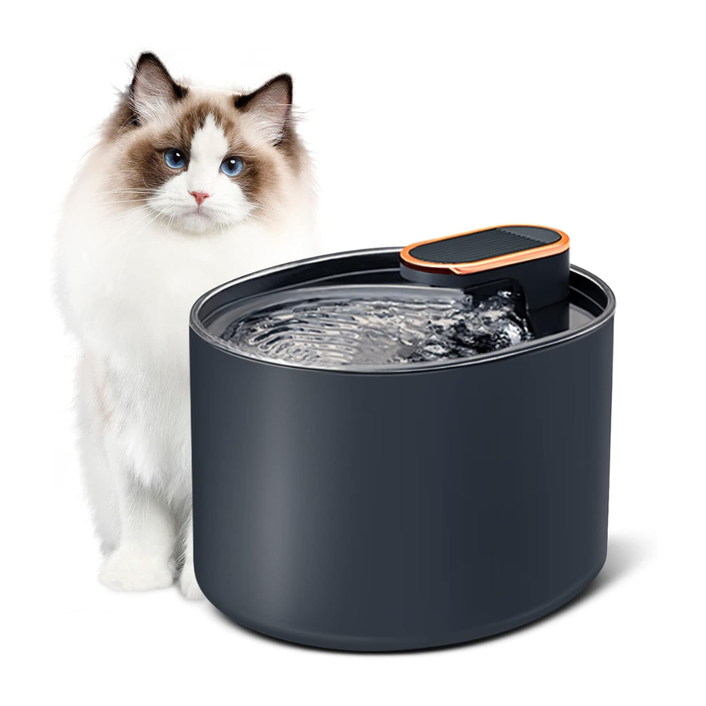 Pet Water Fountain