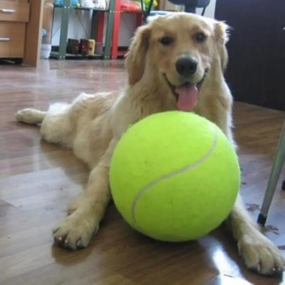 Jouet de balle de tennis géante
