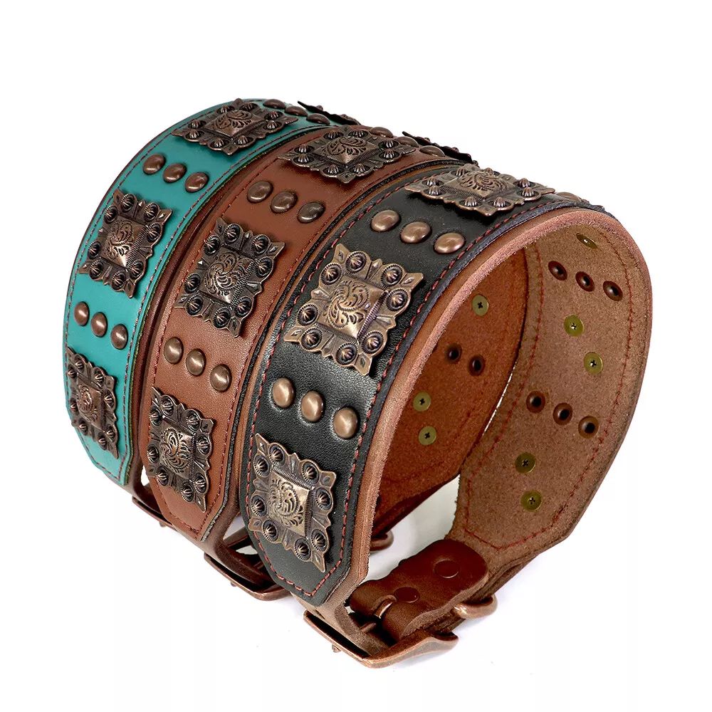 Collar de cuero Aristopaw™ Regal