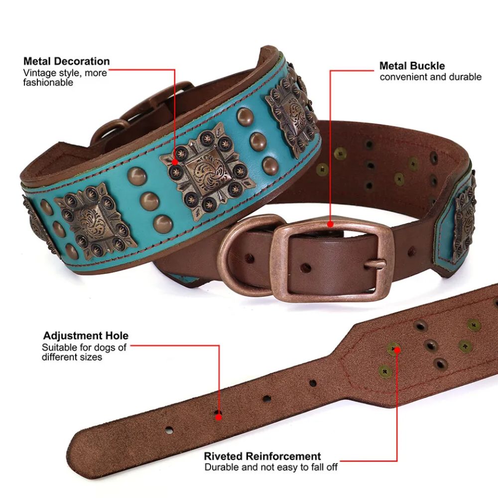 Collar de cuero Aristopaw™ Regal