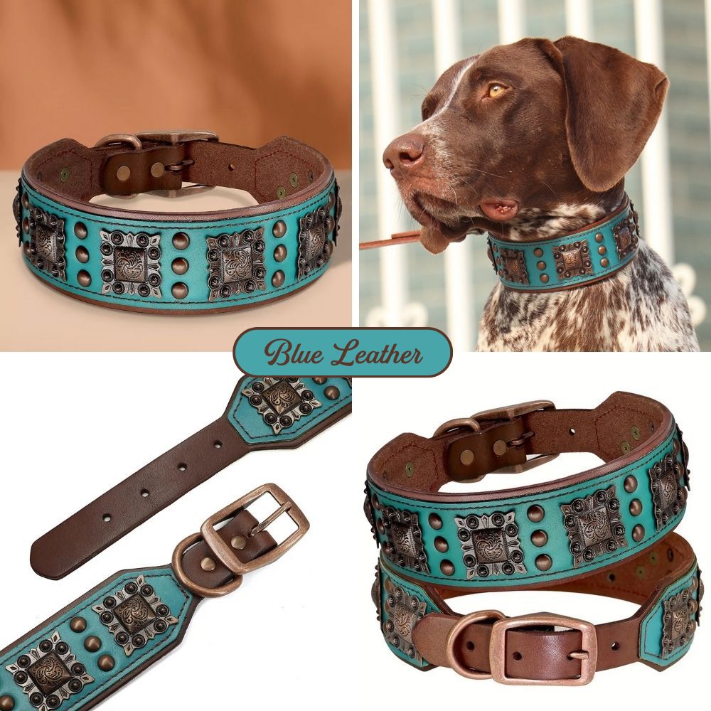 Collar de cuero Aristopaw™ Regal