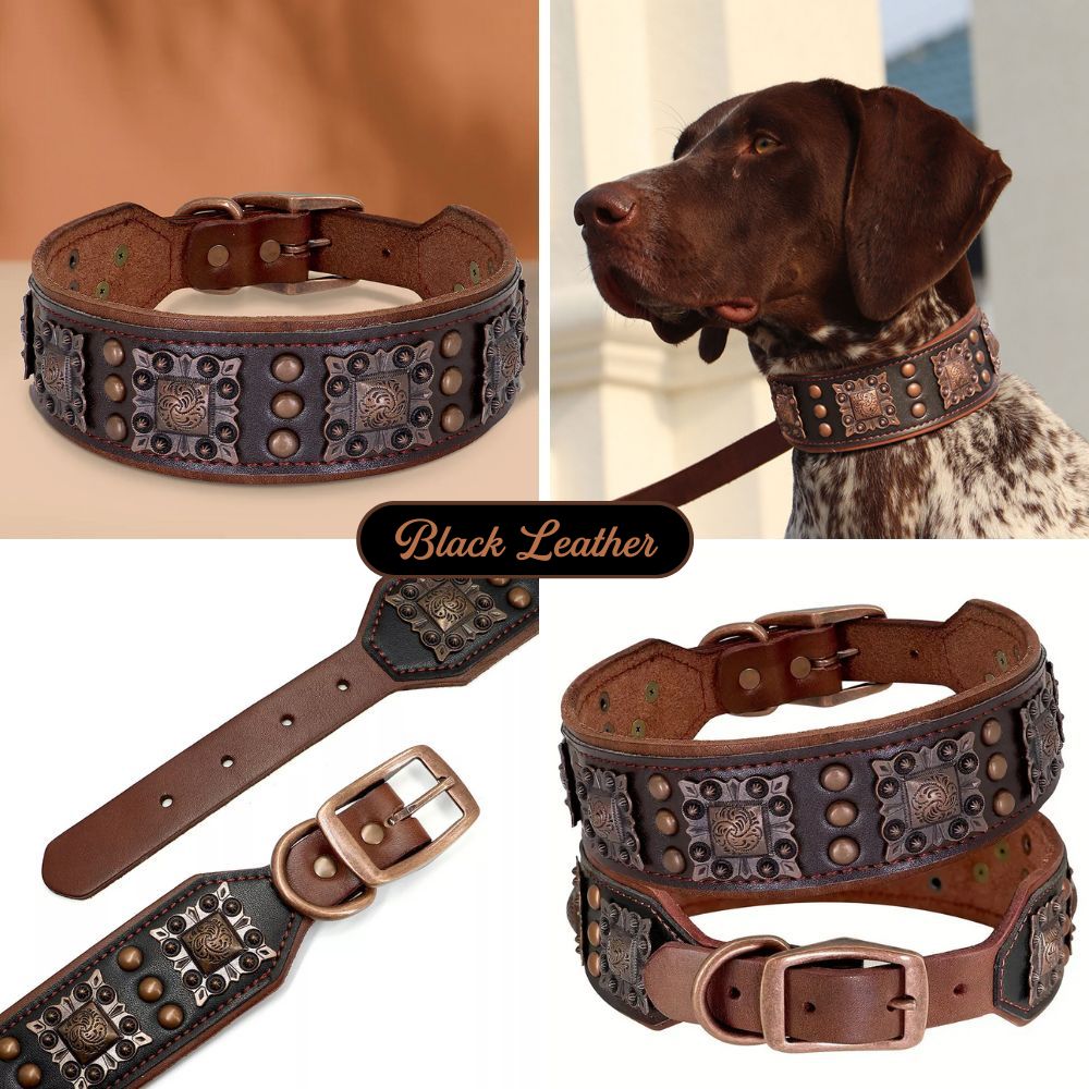 Collar de cuero Aristopaw™ Regal