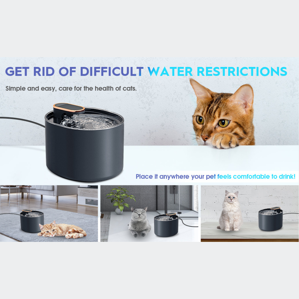 Pet Water Fountain