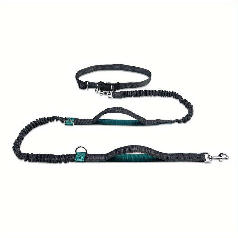 Hands Free Dog Lead