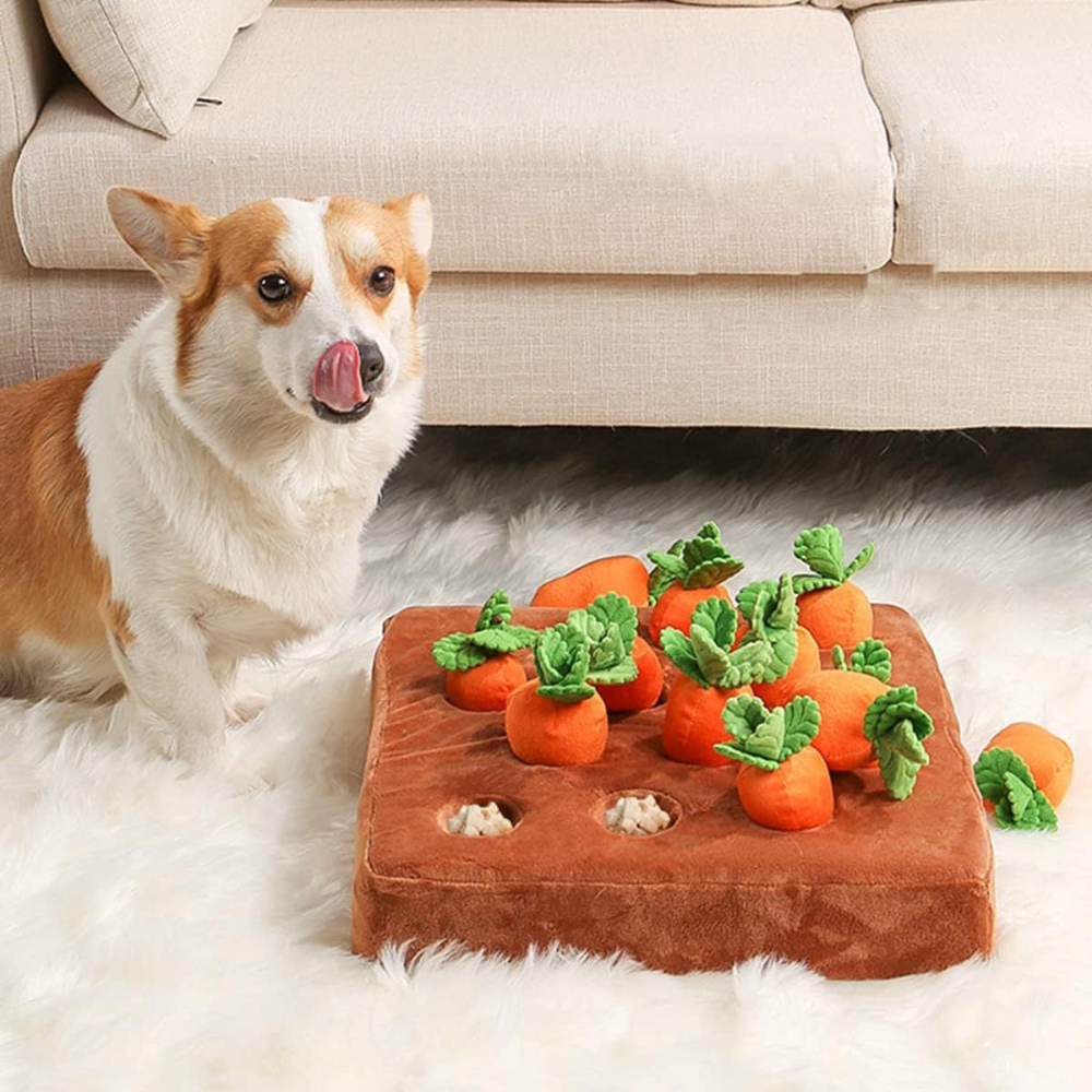 Carrots Treats Puzzle