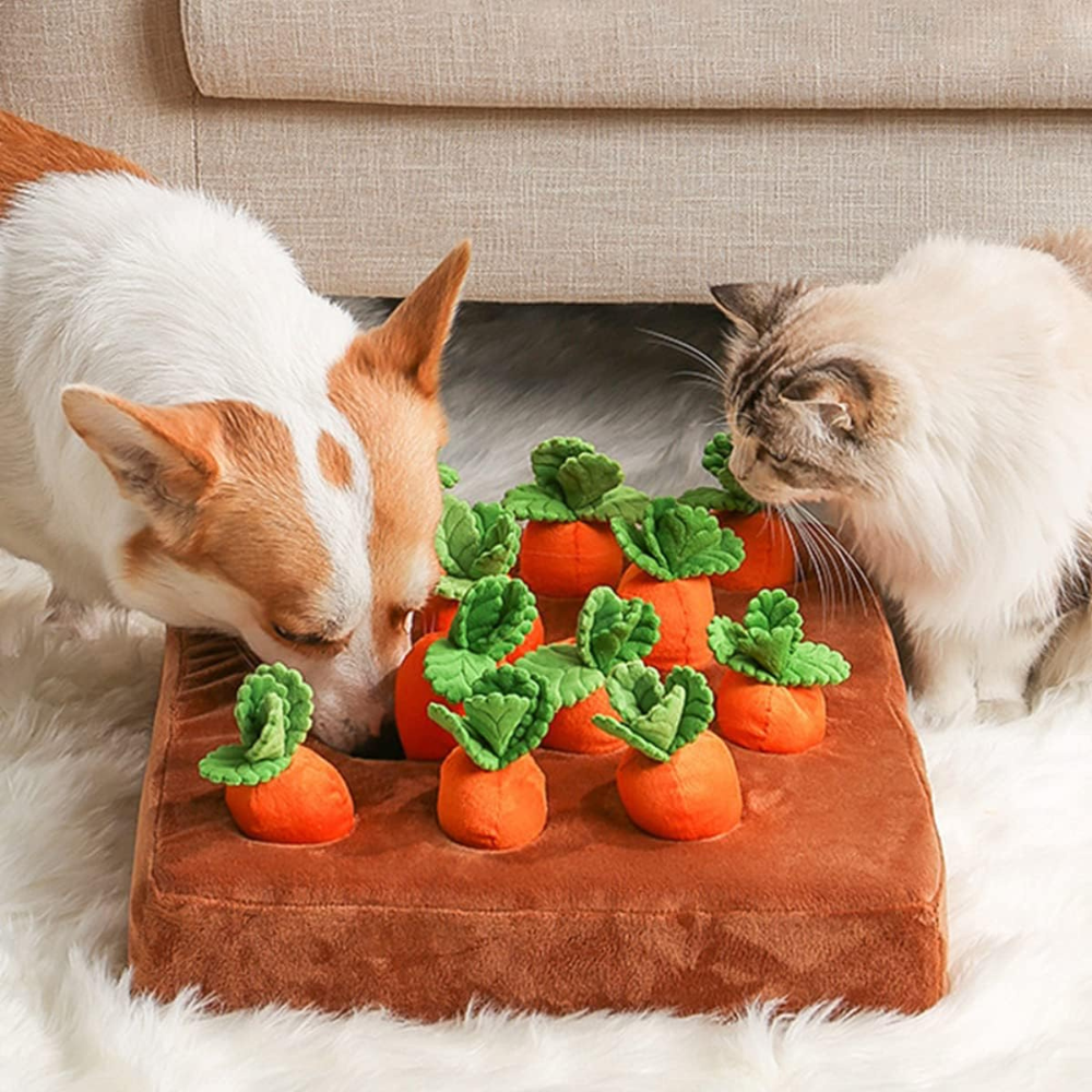 Carrots Treats Puzzle