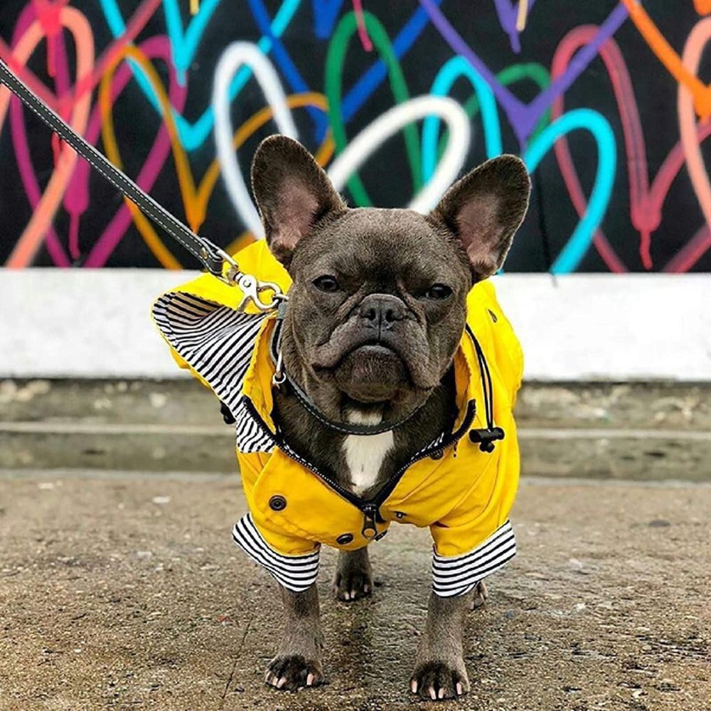 Stylish Yellow Raincoat