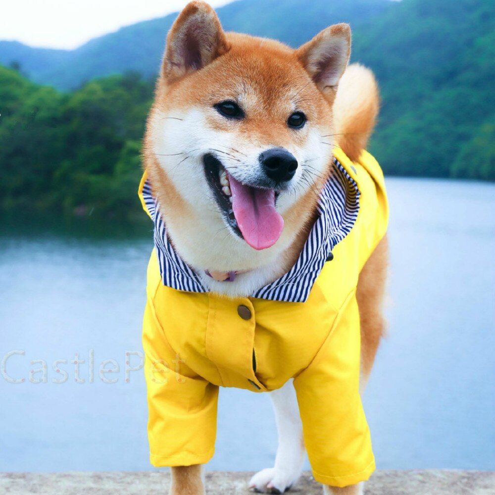 Stylish Yellow Raincoat