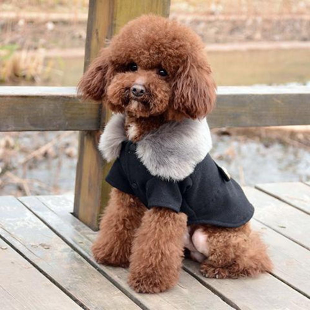 Fur Dog Pea Coat