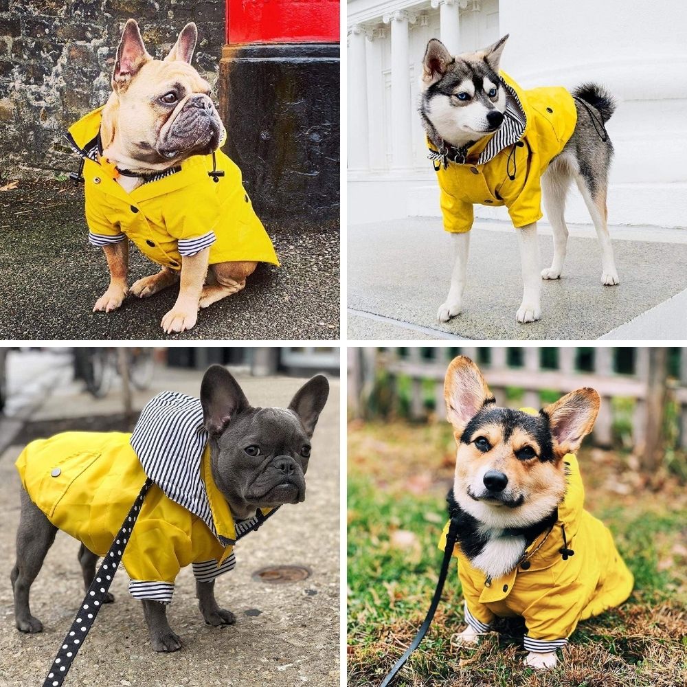 Stylish Yellow Raincoat