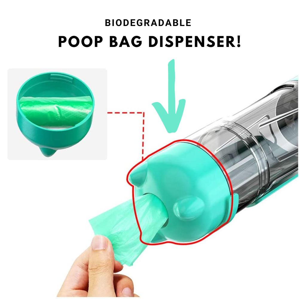 4 in 1 Water Bottle