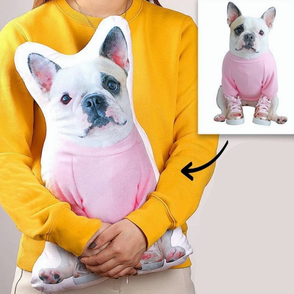 Custom 3D Pet Cushion