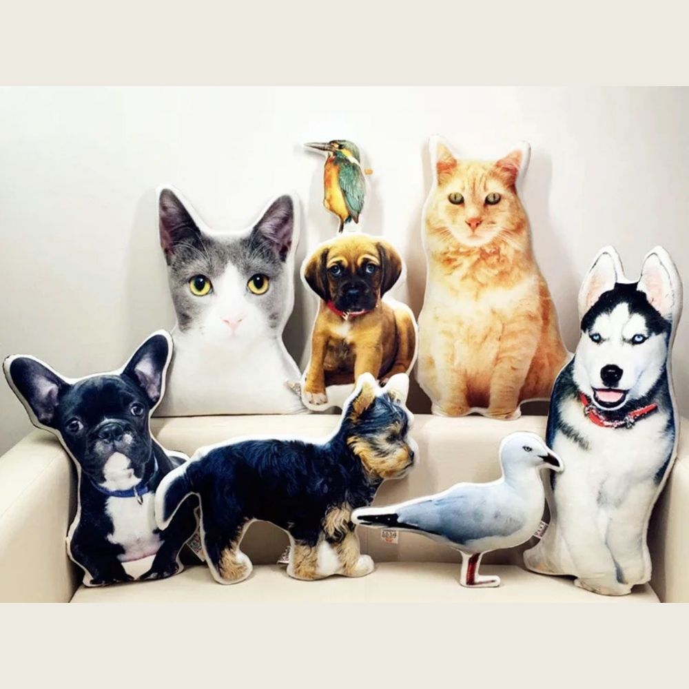 Cojín 3D personalizado para mascotas