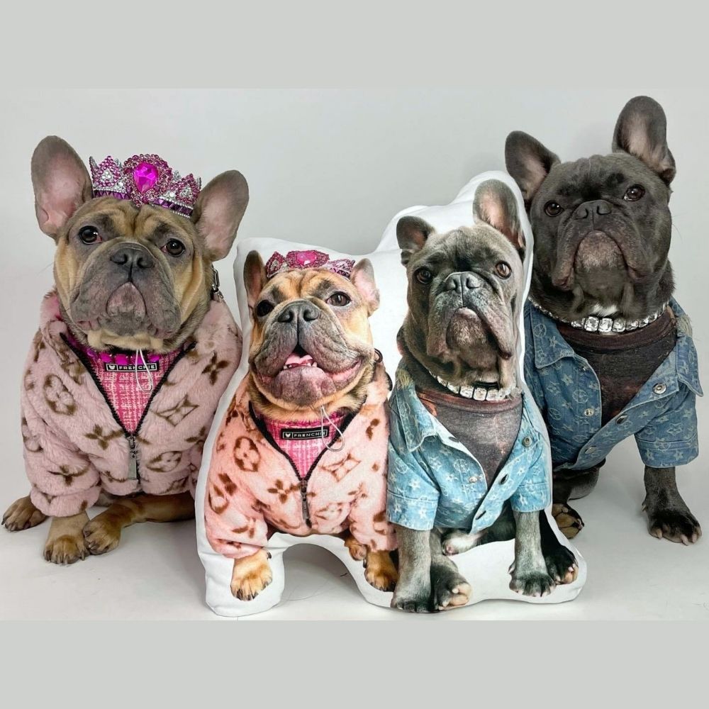 Cojín 3D personalizado para mascotas