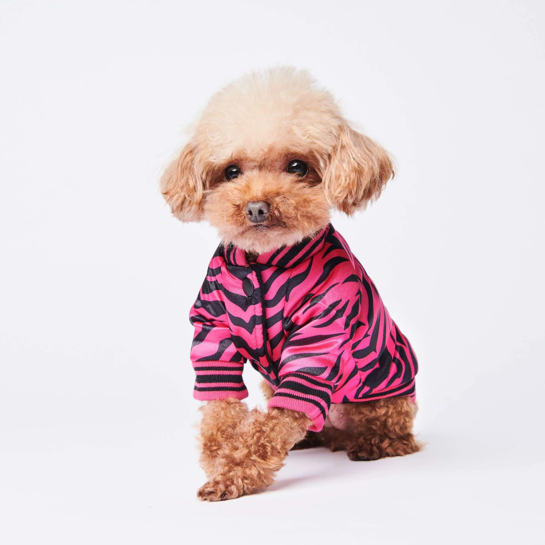Pink Zebra Bomber Jacket