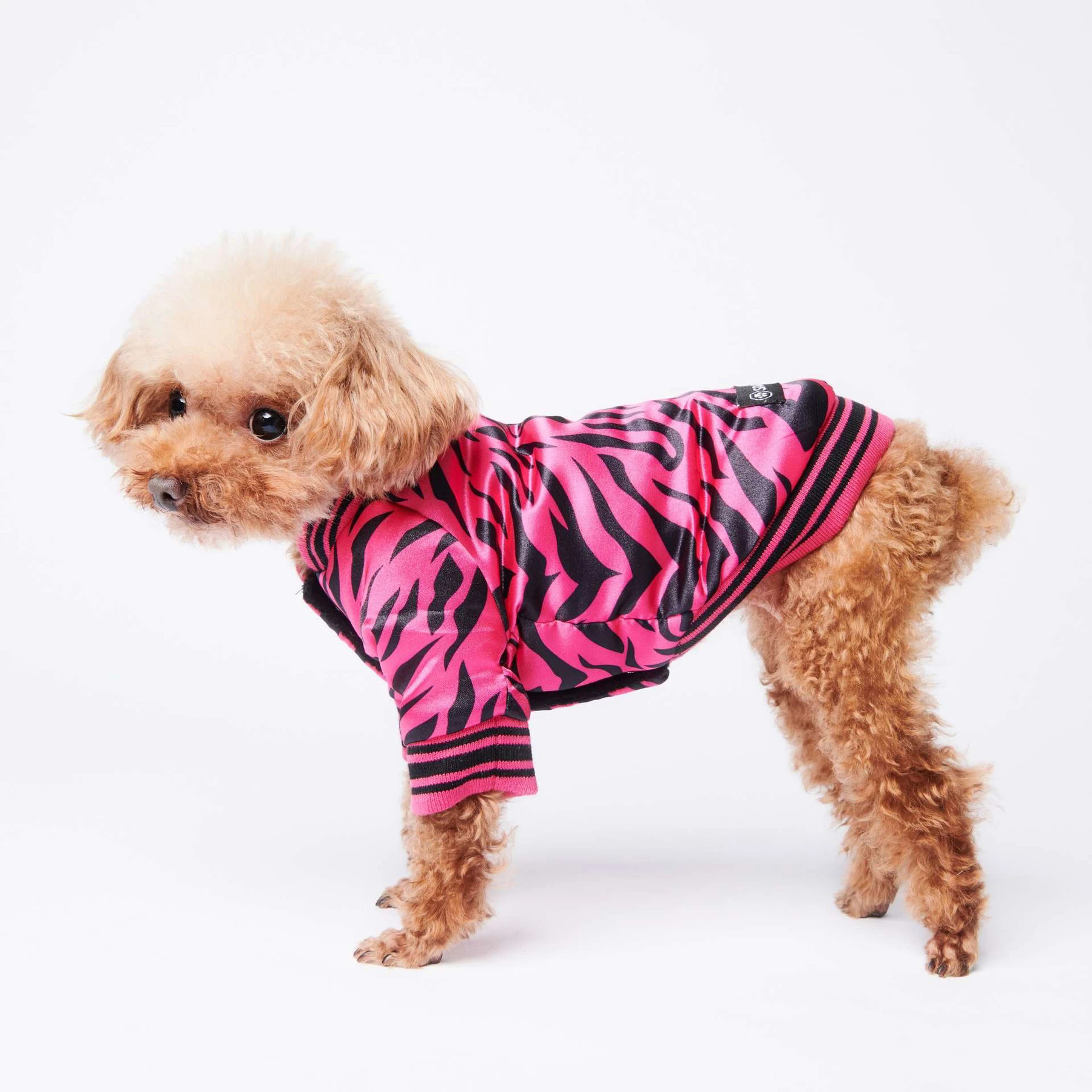Pink Zebra Bomber Jacket