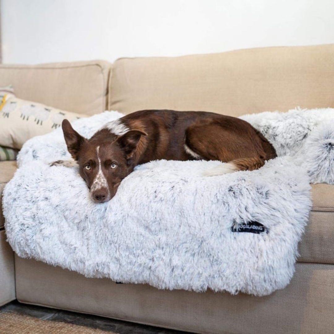 Protection de meubles Zen bed™