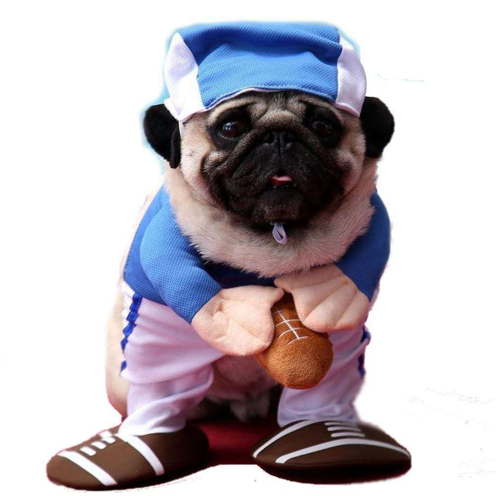 American Football Costume Dog Halloween Costume Happy Paws Online