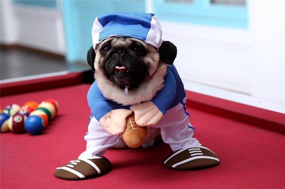 American Football Costume Dog Halloween Costume Happy Paws Online