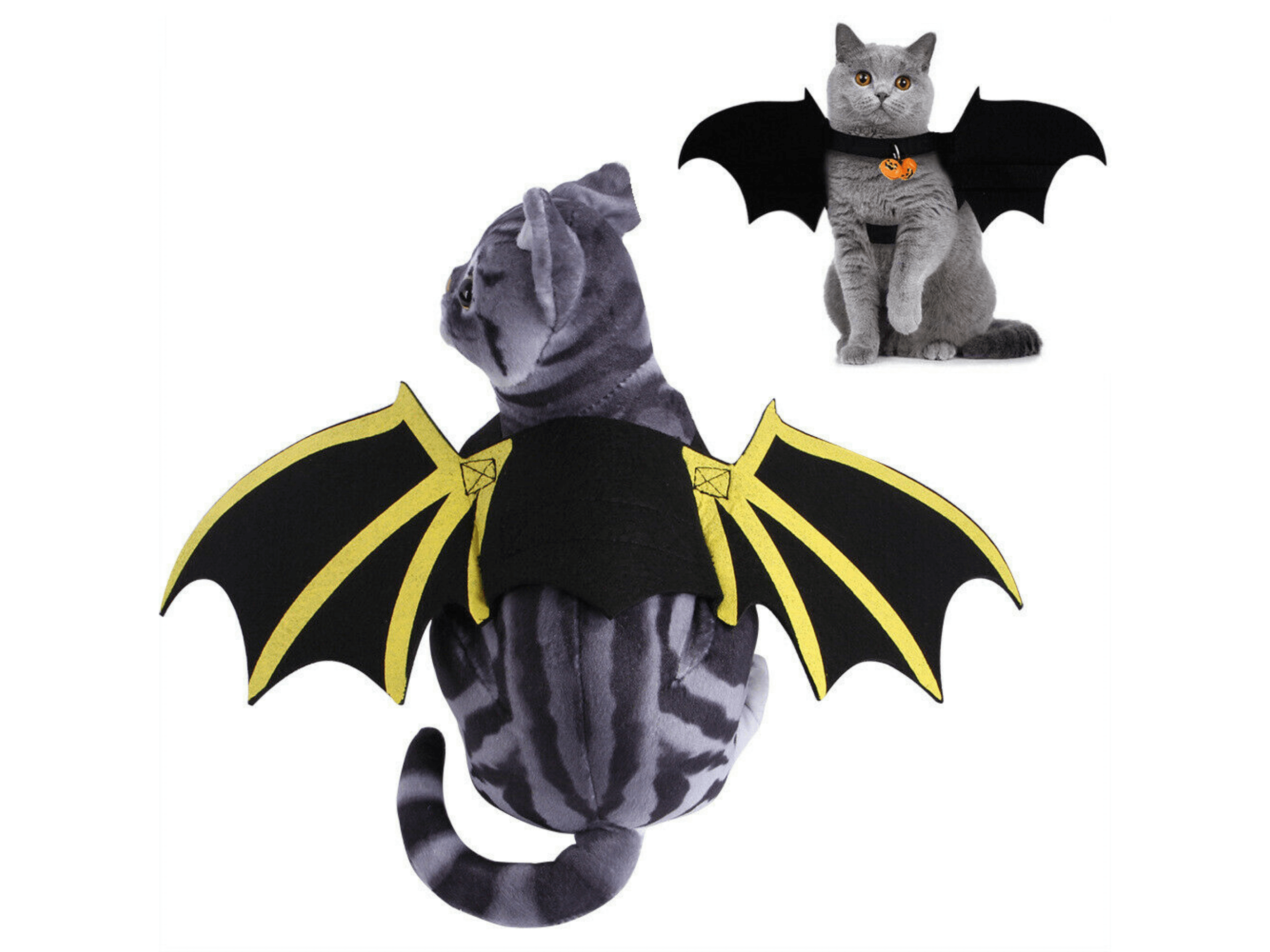 Bat Wings Costume Dog Apparel Happy Paws Online