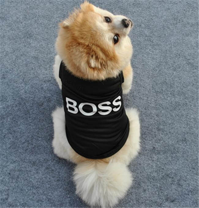 Boss Dog Vest Dog Vest Happy Paws 