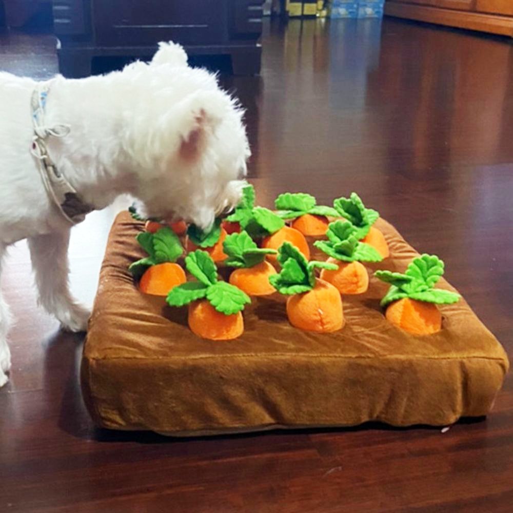 Carrots Treats Puzzle