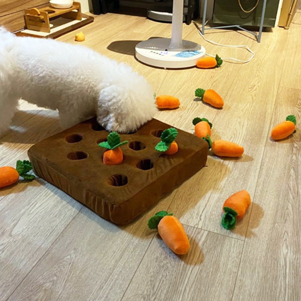 Carrots Treats Puzzle