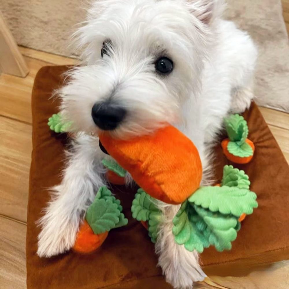 Carrots Treats Puzzle