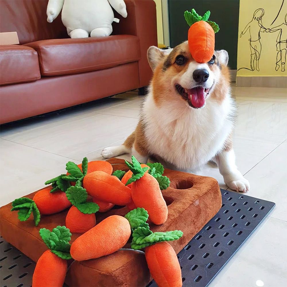 Carrots Treats Puzzle