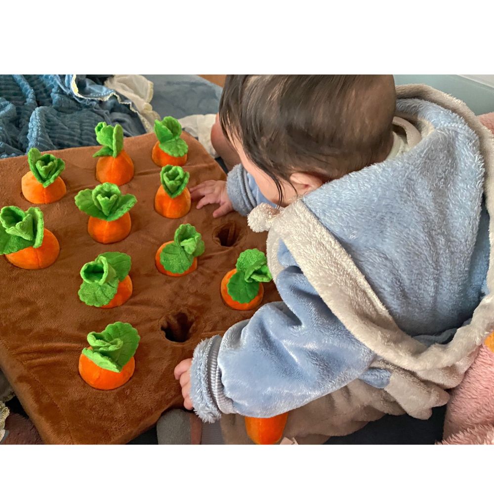 Carrots Treats Puzzle