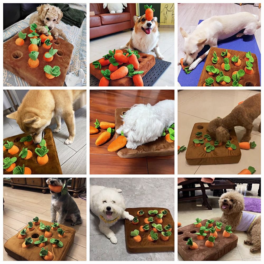 Carrots Treats Puzzle