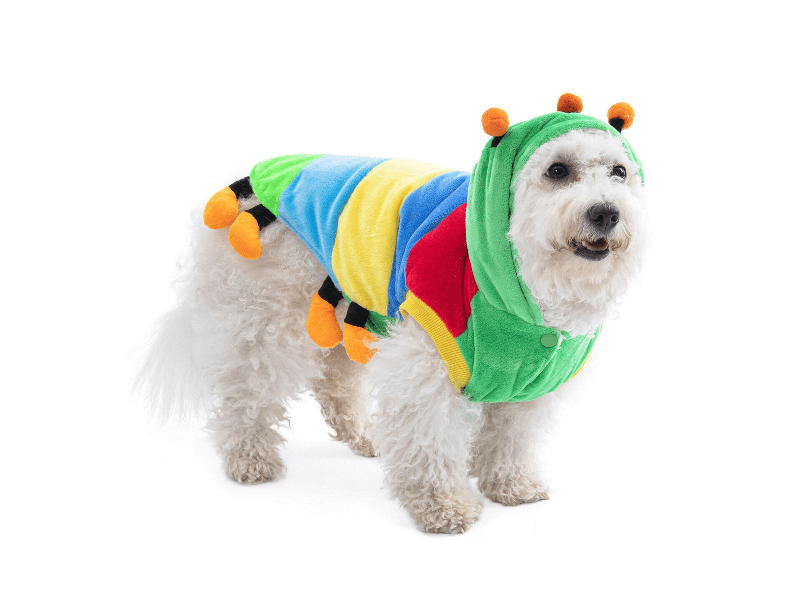 Caterpillar Costume Dog Apparel Happy Paws Online 