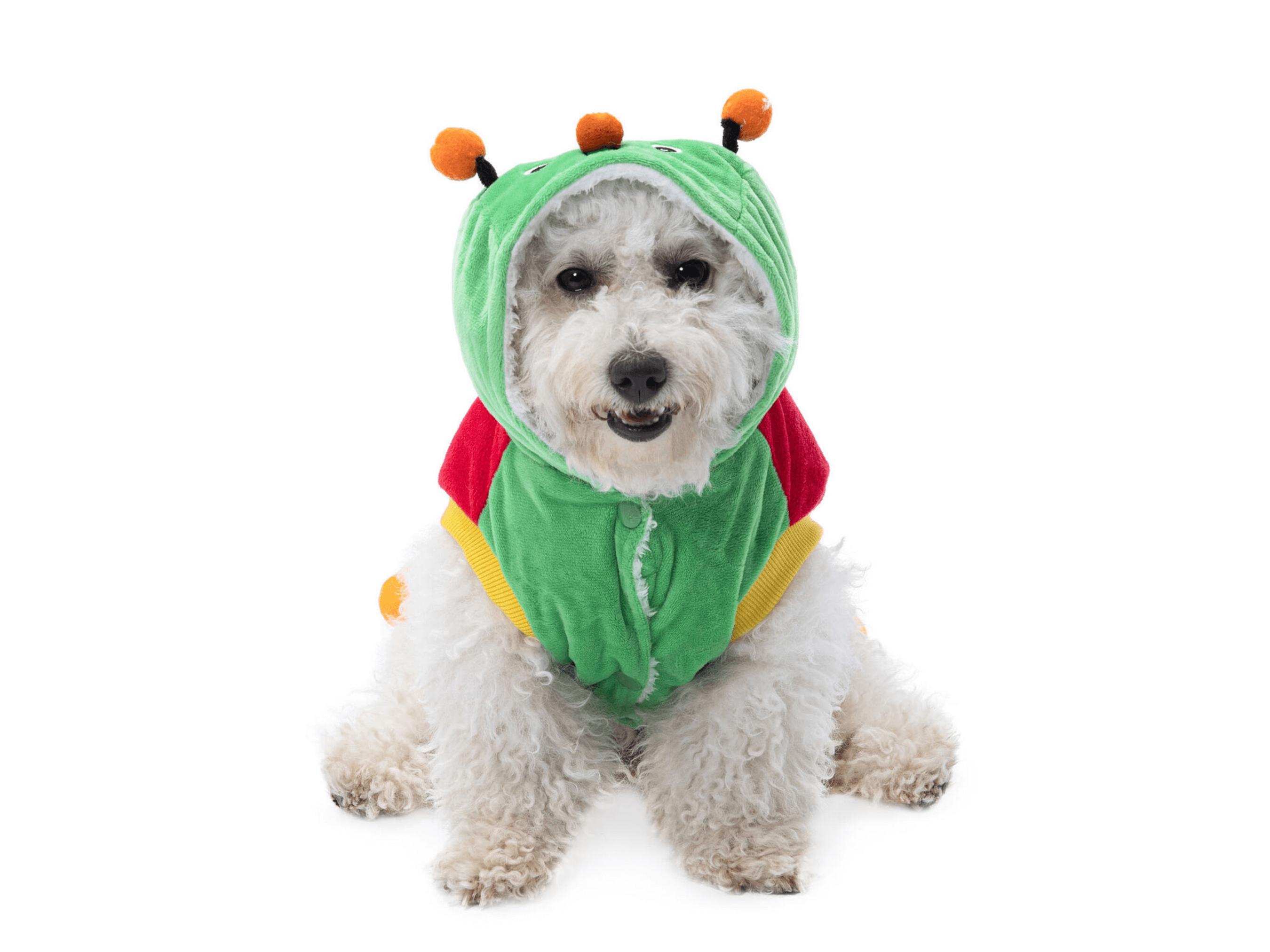 Caterpillar Costume Dog Apparel Happy Paws Online
