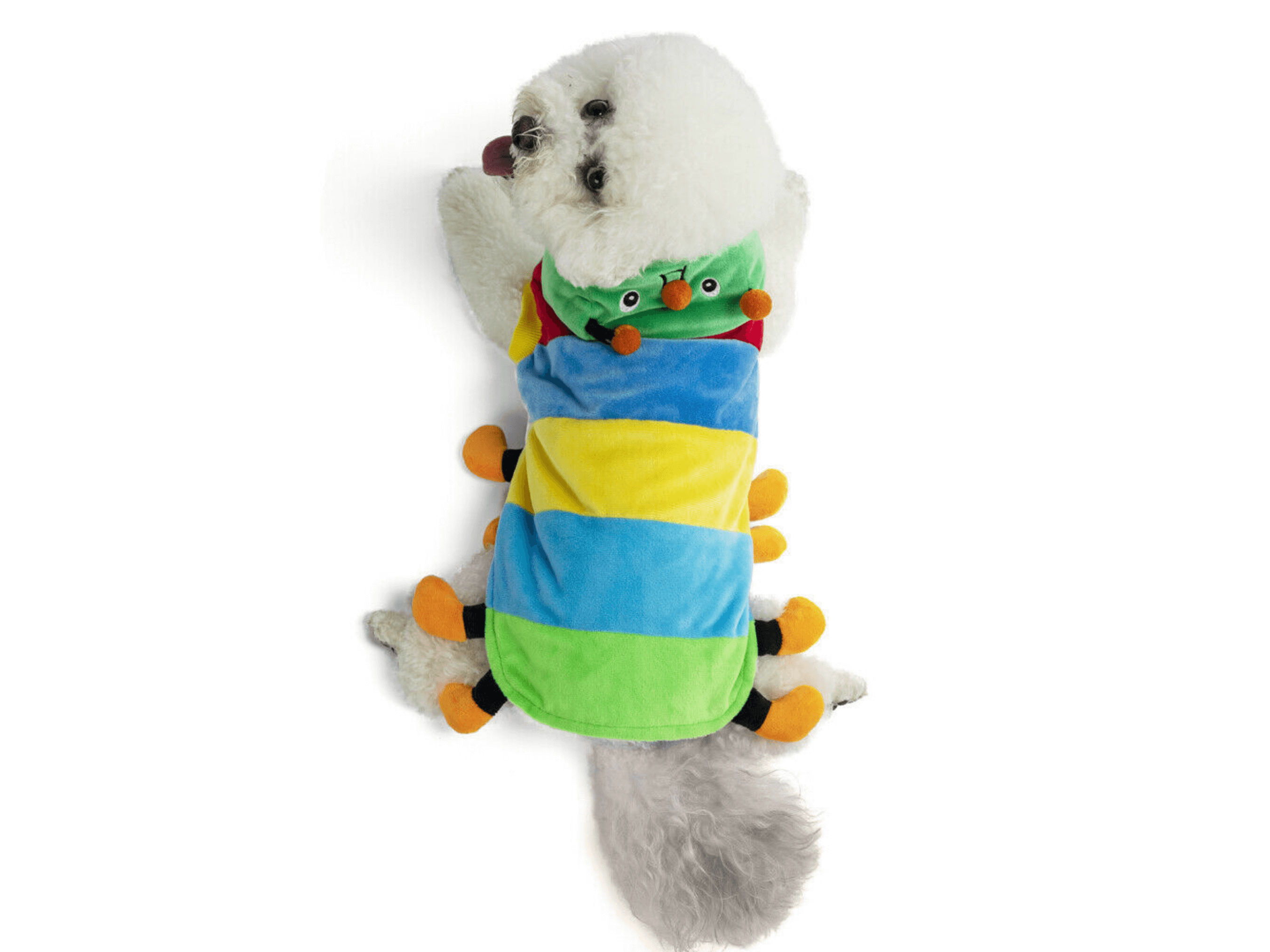Caterpillar Costume Dog Apparel Happy Paws Online