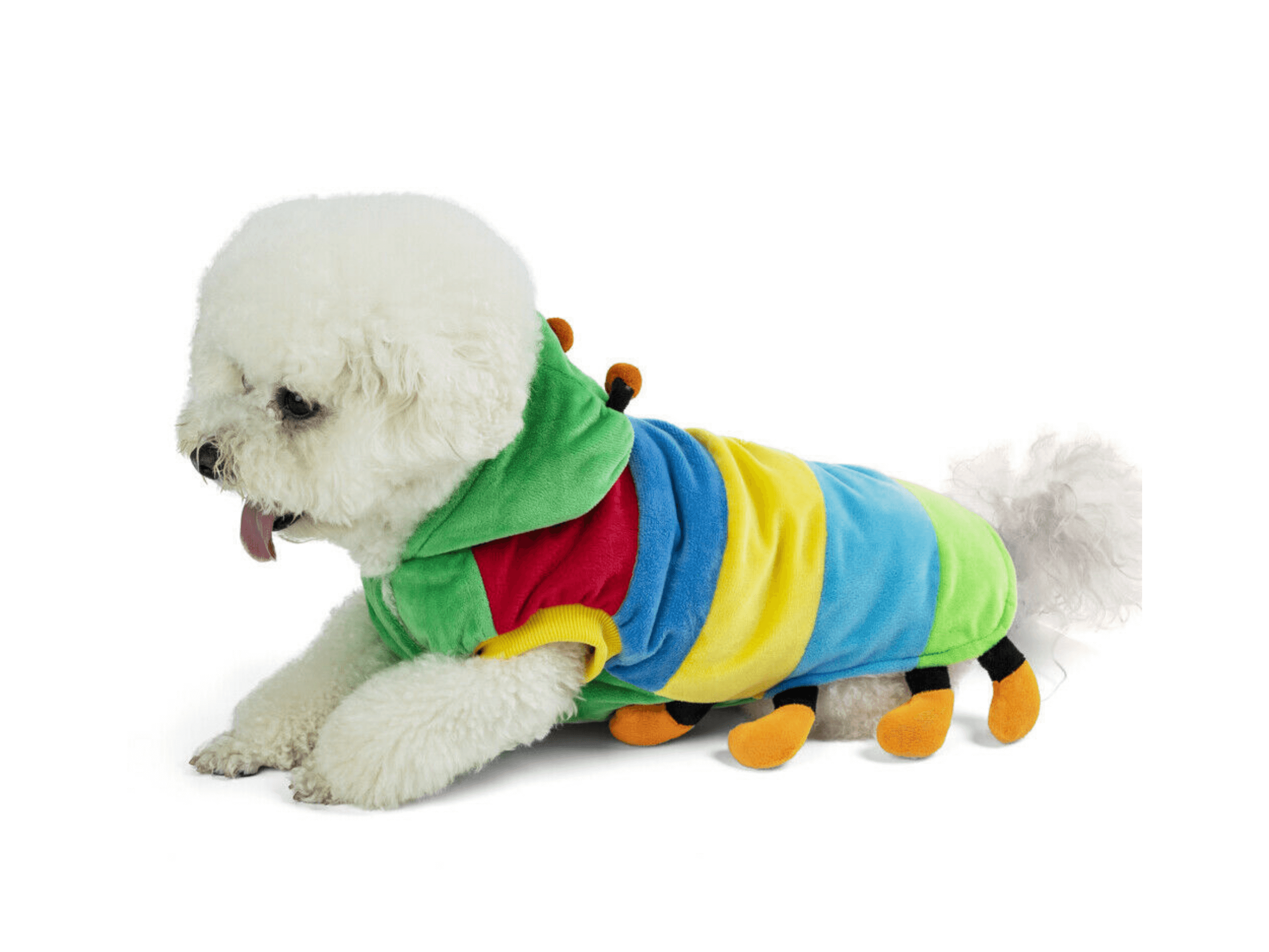 Caterpillar Costume Dog Apparel Happy Paws Online