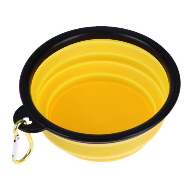 Collapsible Feeding Bowl.