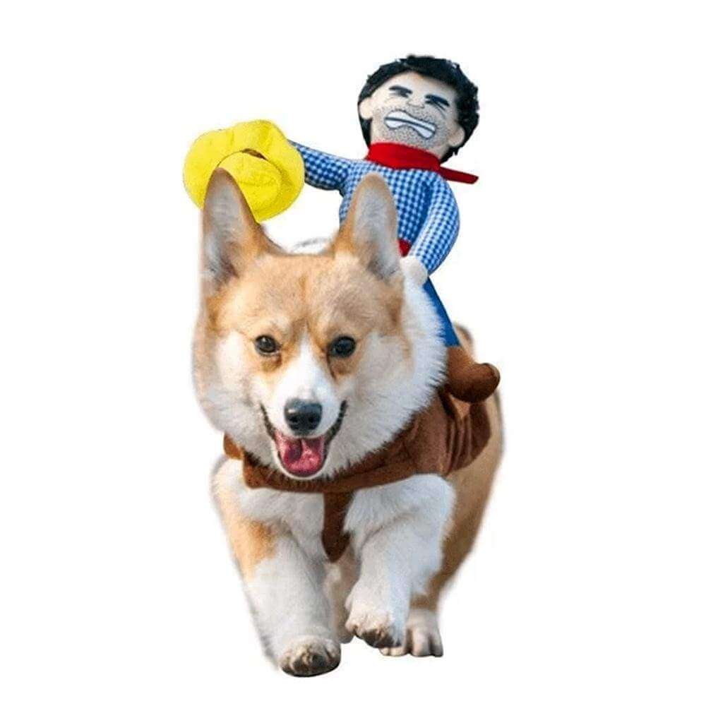 Cowboy Costume Dog Halloween Costume Happy Paws Online Small 