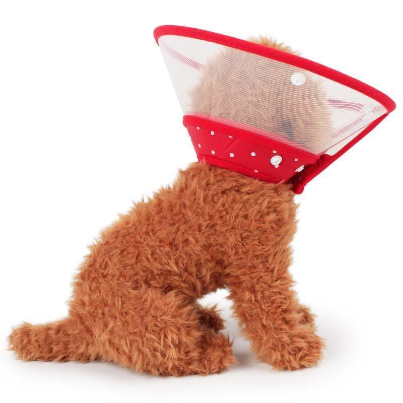 Funky Protective E-Collar Cone Dog Recovery Cone Happy Paws 