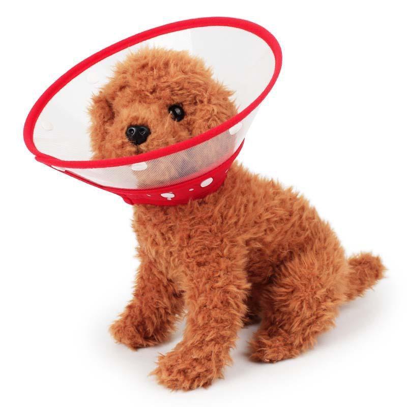 Funky Protective E-Collar Cone Dog Recovery Cone Happy Paws 