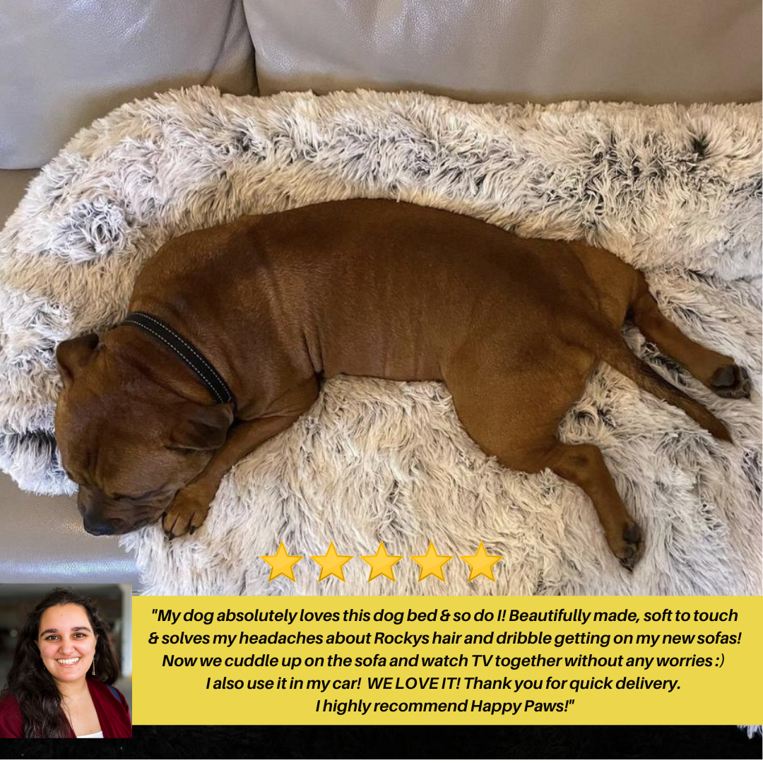 Furniture protector Zen Cloud bed™ Dog Beds Happy Paws Online