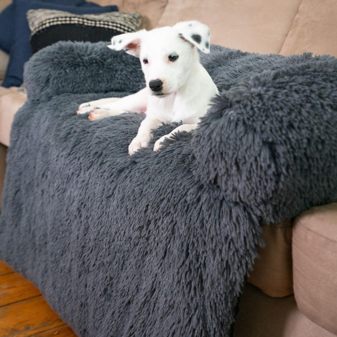 Furniture protector Zen Cloud bed™ Dog Beds Happy Paws Online