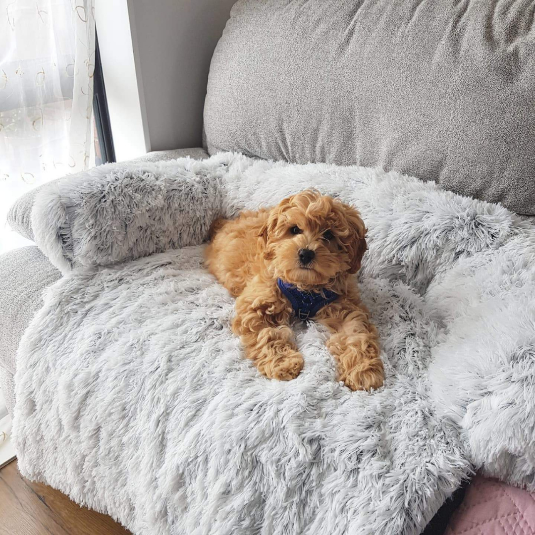 Furniture protector Zen Cloud bed™ Dog Beds Happy Paws Online