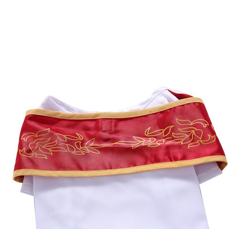 Holy Pope Costume Dog Halloween Costume Happy Paws Online