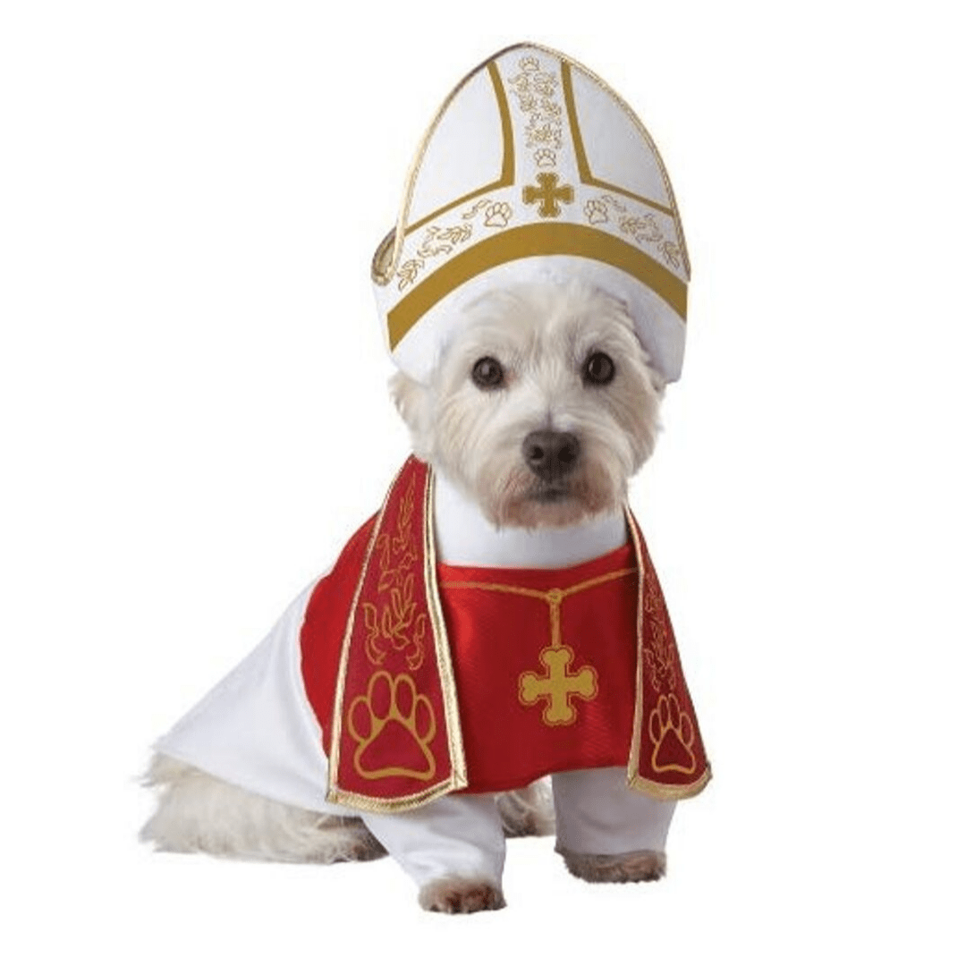 Holy Pope Costume Dog Halloween Costume Happy Paws Online
