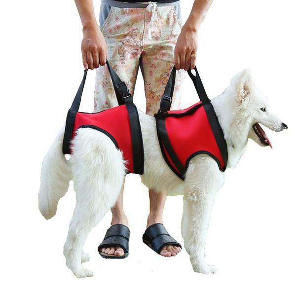Lift Support Spine Harness Dog Spine Support Brace Happy Paws 