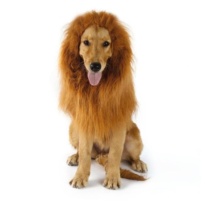 Lion King Mane Dog Cap Happy Paws Without Ears 