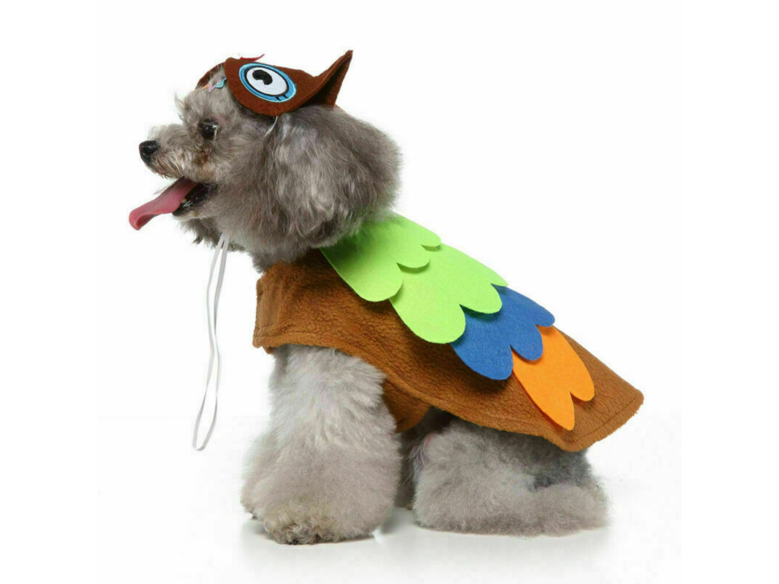 Owl Costume Dog Apparel Happy Paws Online