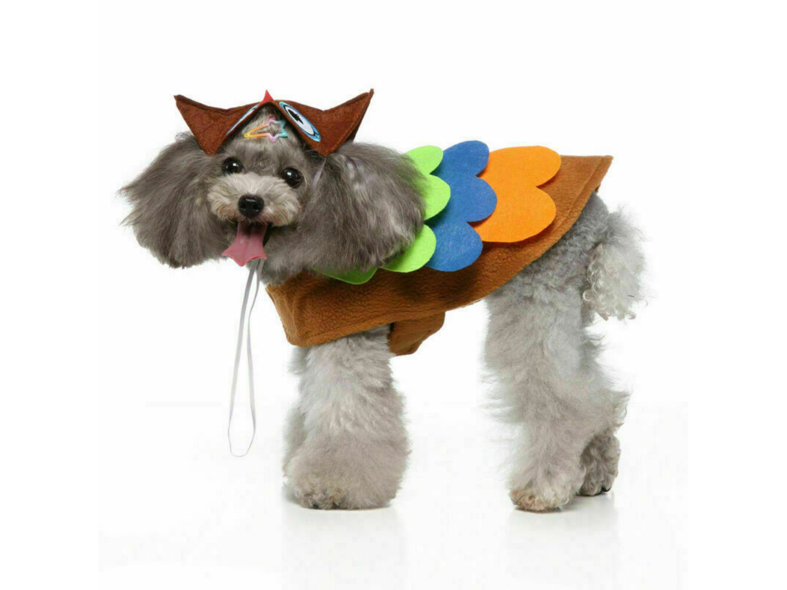 Owl Costume Dog Apparel Happy Paws Online