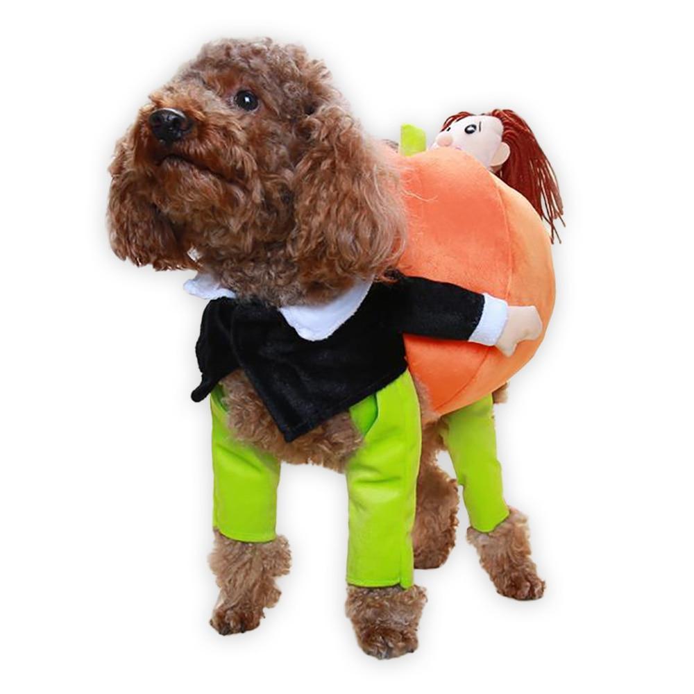 Pumpkin Delivery Costume Dog Halloween Costume Happy Paws Online 
