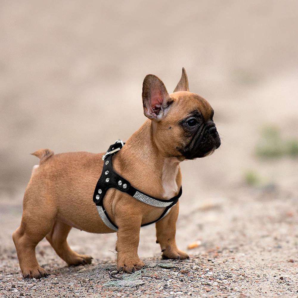 Rhinestone Suede Harness dog harness Happy Paws 